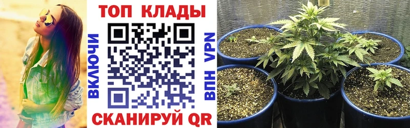 Купить Выборг Конопля Кокаин hydra как войти ГАШИШ