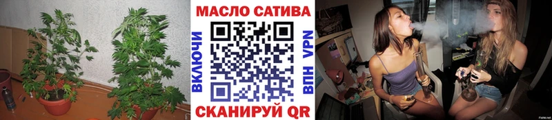 ТГК THC oil omg зеркало Выборг