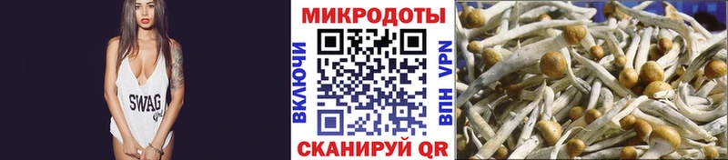купить наркотики сайты  Выборг  omg рабочий сайт  Галлюциногенные грибы мухоморы 